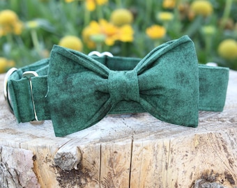 Forrest Green Dog Collar: Martingale or Buckle, No-Slip