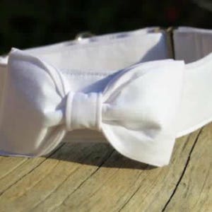 Collars for wedding - More info on 2&quot; in description