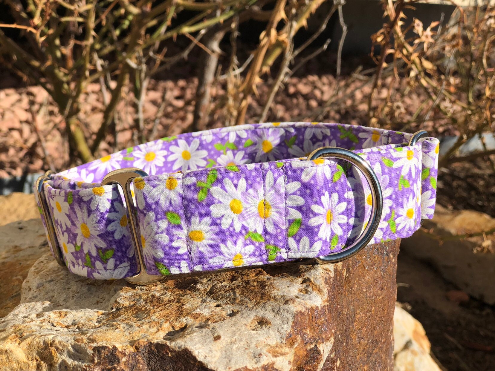 Purple daisy dog collar martingale dog collar collar for Etsy