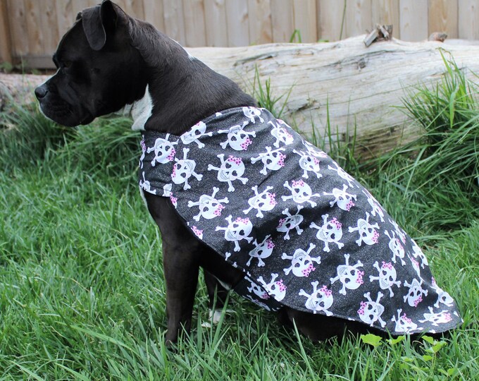 Skull and Crossbones Dog Coat, Large Breed Dog Coat, Pit Bull Dog Coat