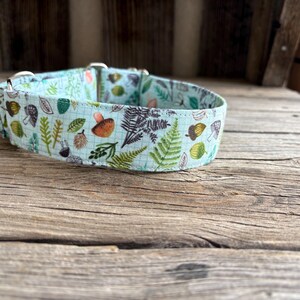 May include: A light blue dog collar with a repeating pattern of mushrooms, ferns, and acorns. The collar has silver-colored metal hardware and is made of fabric. The design features shades of green, brown, and orange.