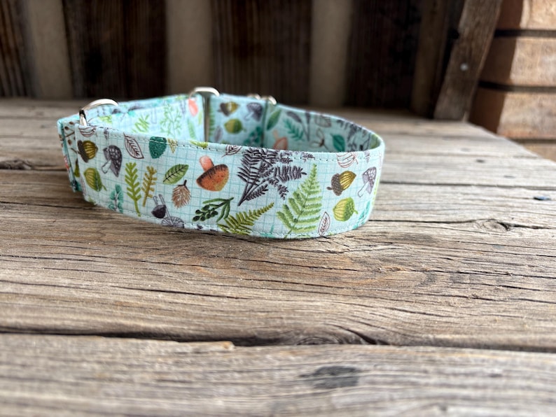 May include: A light blue dog collar with a repeating pattern of mushrooms, ferns, and acorns. The collar has silver-colored metal hardware and is made of fabric. The design features shades of green, brown, and orange.