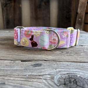 Chocolate Easter bunny print dog collar, no slip Dog collar, Martingale dog collar, Buckle dog collar