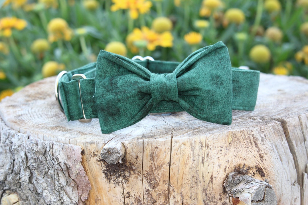 Forrest Green Dog Collar, No Slip Dog Collar, Martingale Dog Collar