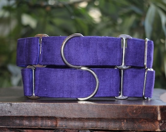 Coleira roxa sólida para cachorro: Martingale ou fivela, antiderrapante