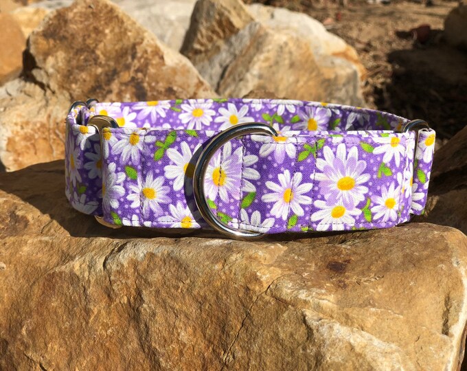 Purple Daisy Dog Collar, Martingale Dog Collar, Collar for Dogs, Extra