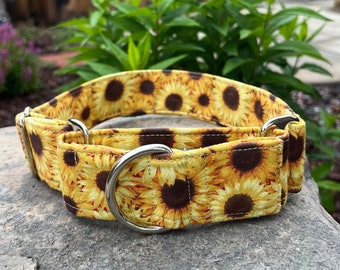 Sunflower dog collar, buckle or martingale, size small through giant (pattern placement varies)
