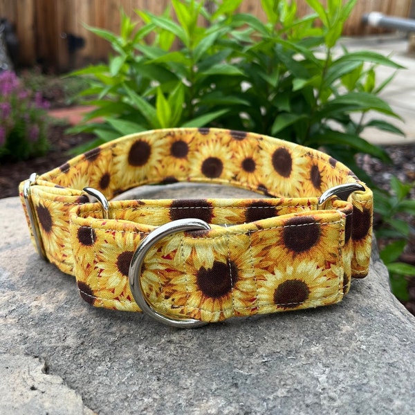 Sunflower dog collar, buckle or martingale, size small through giant (pattern placement varies)