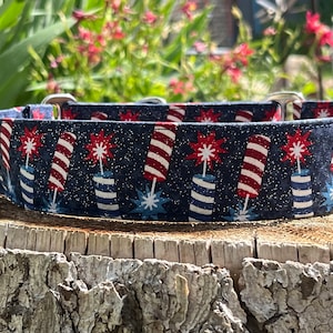 Red white and blue FIRECRACKER dog collar, American, 4th of July,  buckle or martingale, size small through giant
