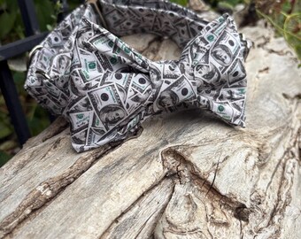 Dollar Print Dog Collar: Martingale or Buckle