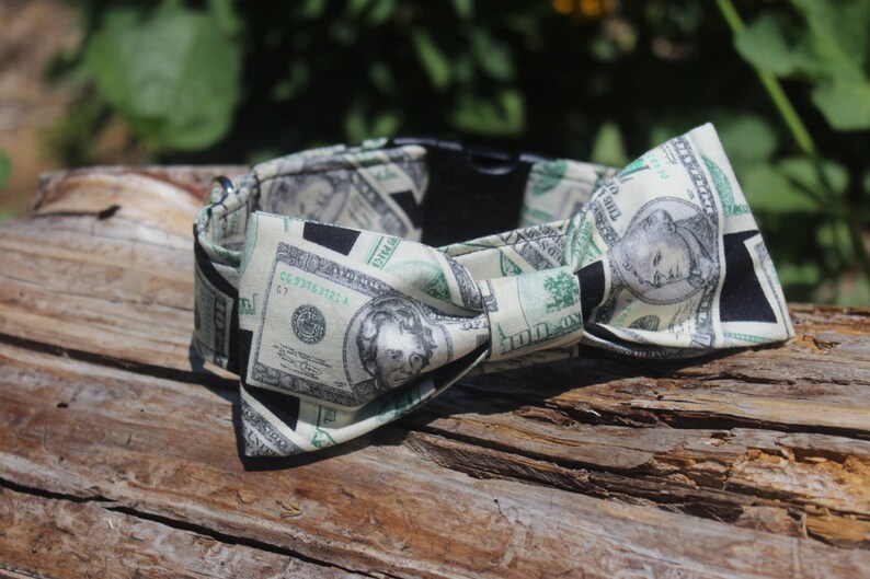 Dollar Bill Dog Collar. Money Dog Collar Cash Martingale Etsy