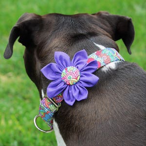 Purple dog collar, martingale or buckle, small through giant