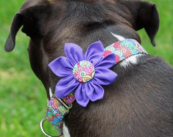 Purple dog collar, martingale or buckle, small through giant
