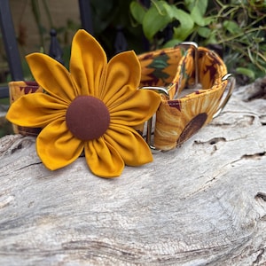 Sunflower Canvas Martingale Dog Collar, wide and thick, size small through XL