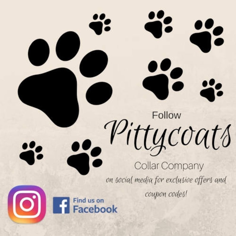 May include: Black paw prints scattered on a beige background, with the text "Follow Pittycoats Collar Company" and social media icons. The Instagram and Facebook logos are visible.