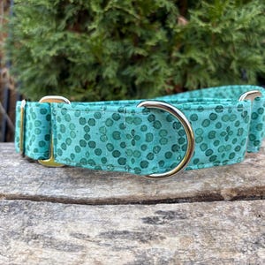 May include: A teal dog collar with a repeating pattern of dark green dots. The collar has gold-colored metal hardware, including a D-ring and a buckle. The collar is displayed on a weathered wooden surface, with green foliage in the background.