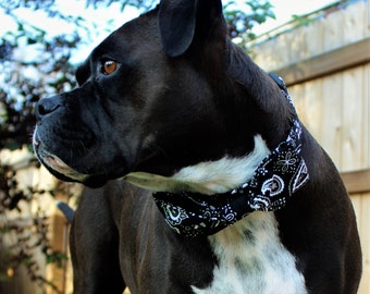 Martingale Dog collar, Black and white bandanna print with optional matching bow tie, dog bow tie, dog collar, thick dog collar, wide collar