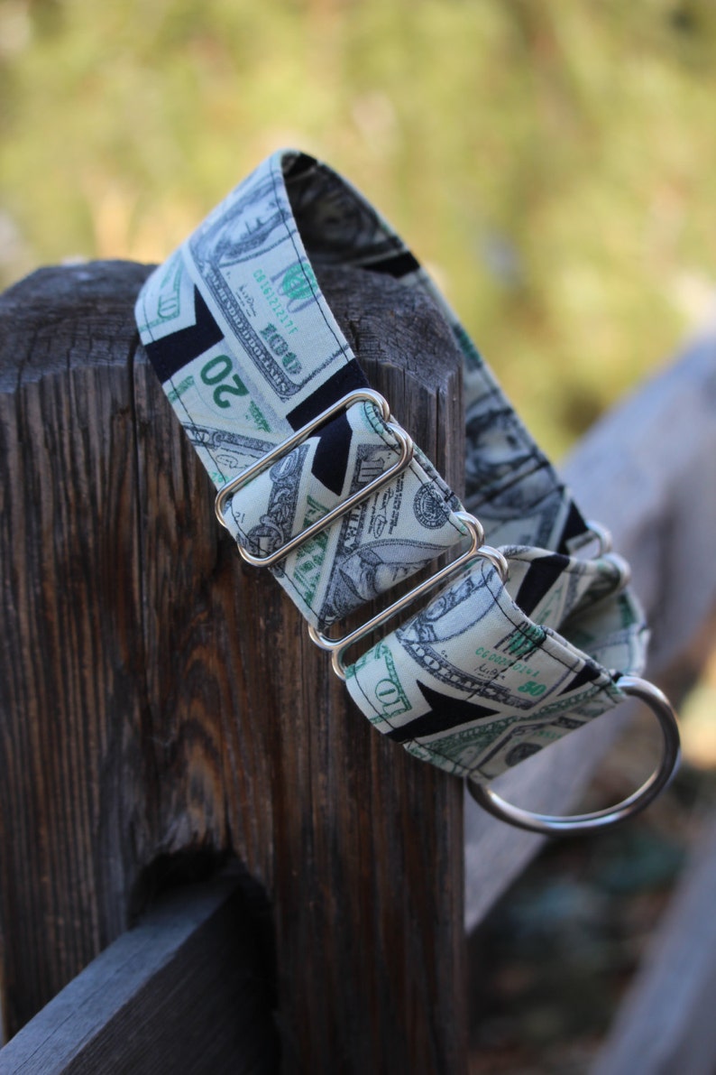 Dollar Bill Dog Collar. Money Dog Collar Cash Martingale Etsy