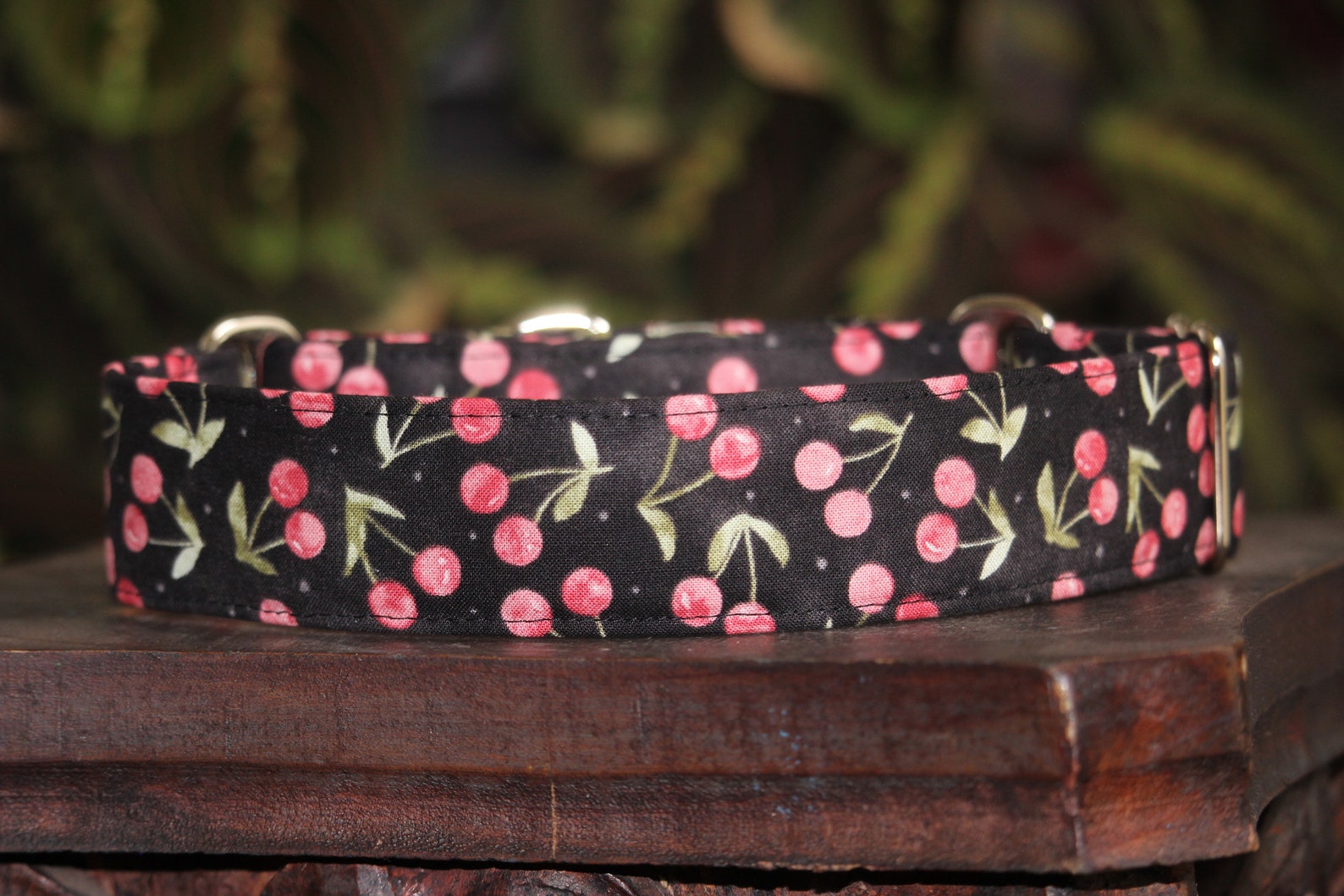 Cherries dog collar martingale dog collar buckle dog collar Etsy