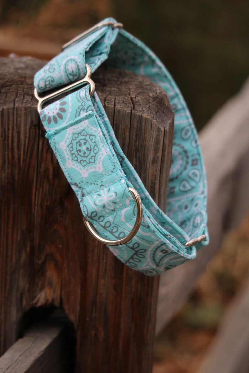 thick martingale collar
