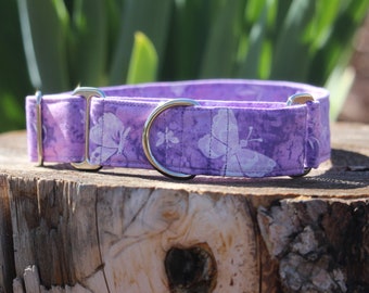 Purple Butterfly dog collar blue background, buckle or martingale, size small through giant