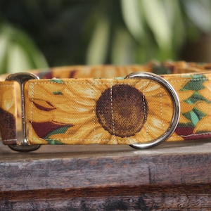 Sunflower Canvas Martingale Dog Collar, wide and thick, size small through XL