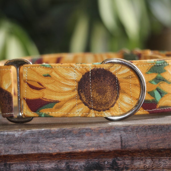 Sunflower Canvas Martingale Dog Collar, wide and thick, size small through XL