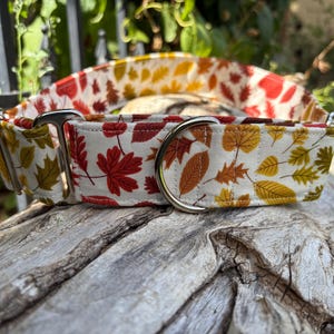 May include: A dog collar with a fall leaves pattern. The collar features a white background with red, orange, and yellow leaves. It has a silver metal D-ring and buckle. The collar is made of fabric.