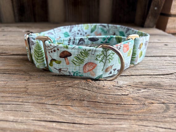 Mushroom Woodland Dog Collar: Sea Green Martingale or Buckle Collar