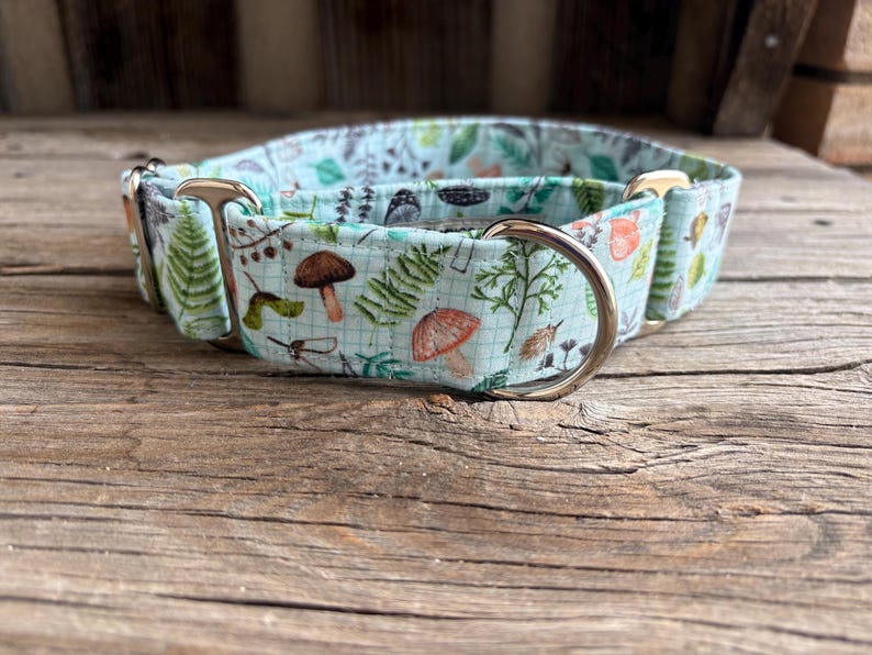 May include: A light blue dog collar with a nature-themed pattern featuring mushrooms, ferns, and other foliage. The collar has silver-colored metal hardware and is made of fabric. The collar is designed for a medium-sized dog.