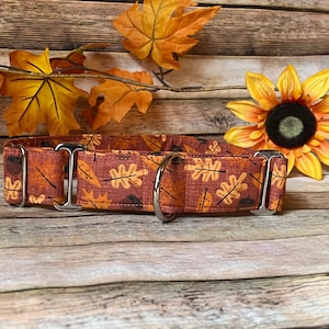 Fall leaves dog collar, no slip Dog collar, Martingale dog collar, Buckle dog collar