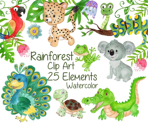 Watercolor Animals Clipart: rainforest Clipart - Etsy Watercolor Animals Clipart: rainforest Clipart - Etsy