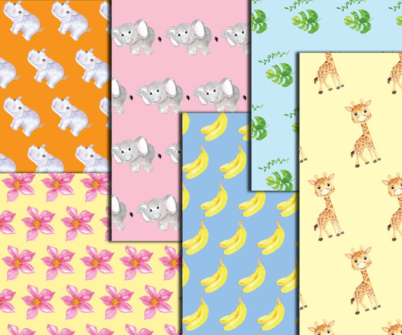 Importance of safari browser image