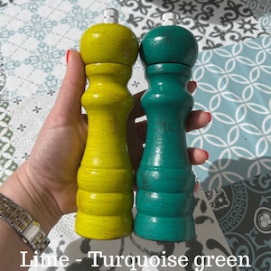 May include: Two wooden salt and pepper shakers, one lime green and one turquoise green. The shakers have a distressed paint finish.