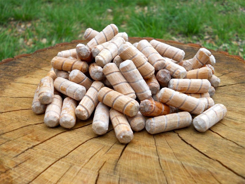 50 X Organic Super Shiitake Mushroom Plugsgrow Mushrooms on Etsy