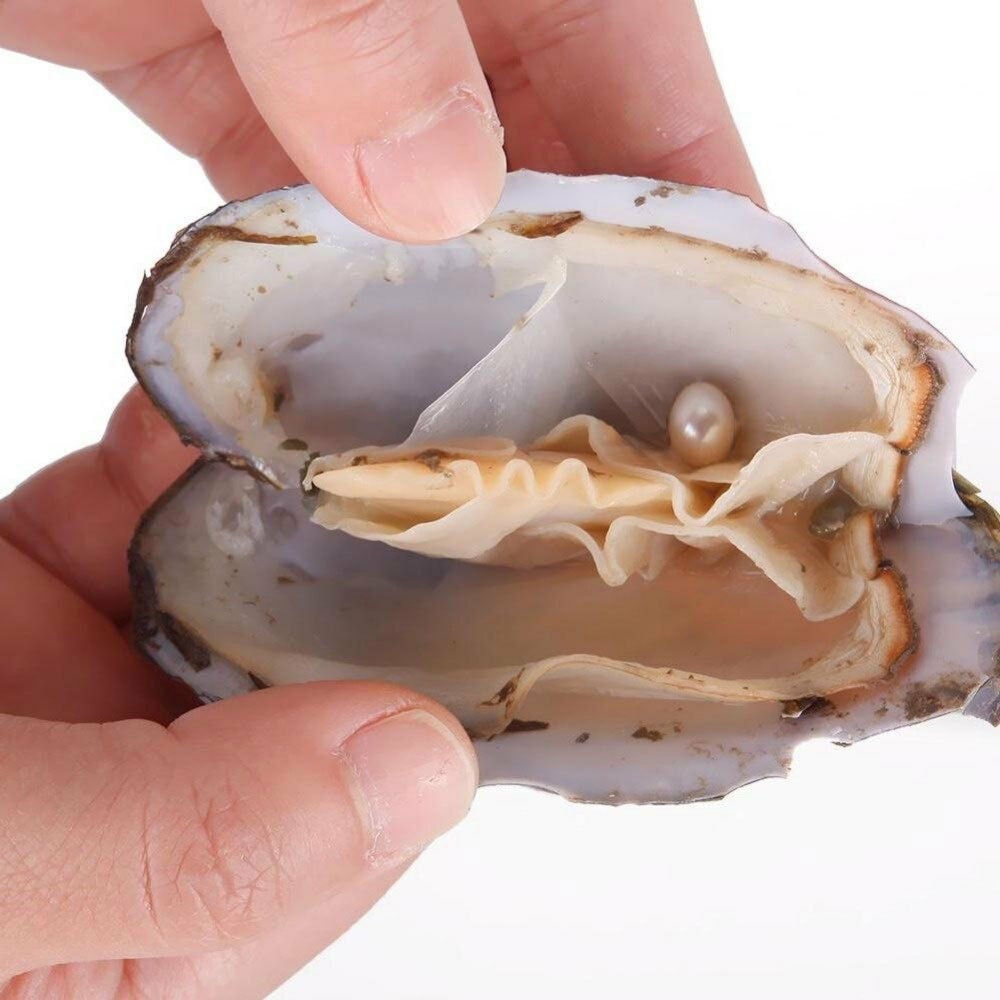 USA Seller 8-10mm Pearl in Oyster, Wholesale, Pearl Oysters, Wish Pearl,  Vacuum-packed, Single Pearl in Oyster Colored REAL - Etsy India