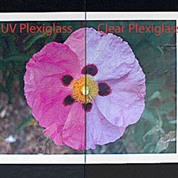 Uv Protection Picture Frame Etsy