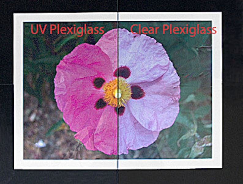 Uvfiltering Plexiglas for Picture Frames Etsy