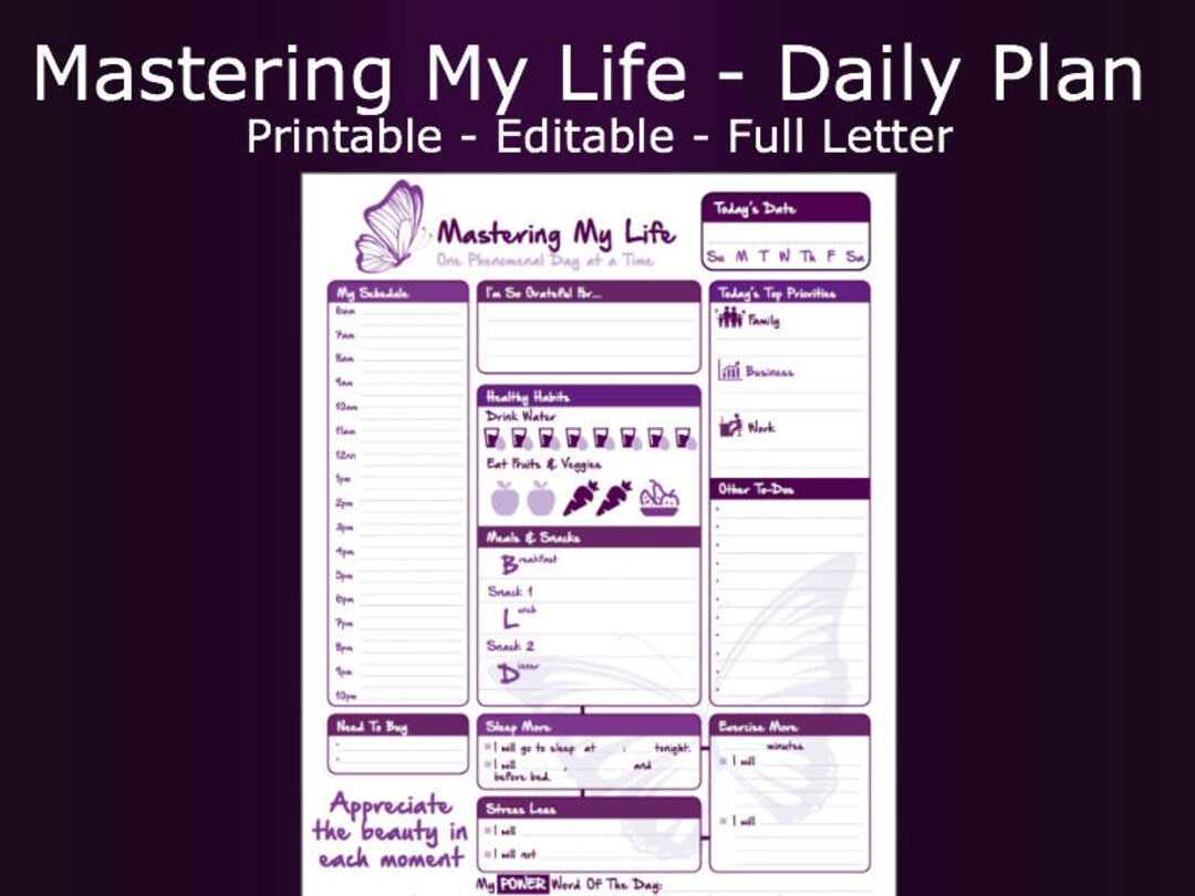 Daily Schedule and To-do List- Mastering My Life- Printable &amp; Fillable ...