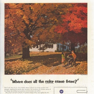 COLORFUL FALL FOLIAGE Scene The Saturday Evening Post 1955 Advertising American Cyanamid Company Old Ad Free Shipping Included image 1