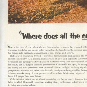 COLORFUL FALL FOLIAGE Scene The Saturday Evening Post 1955 Advertising American Cyanamid Company Old Ad Free Shipping Included image 4