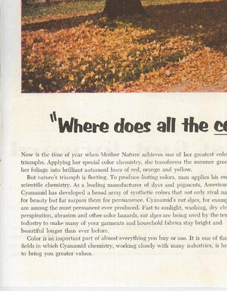 COLORFUL FALL FOLIAGE Scene The Saturday Evening Post 1955 Advertising American Cyanamid Company Old Ad Free Shipping Included image 4