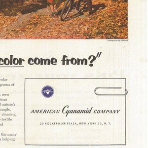 COLORFUL FALL FOLIAGE Scene The Saturday Evening Post 1955 Advertising American Cyanamid Company Old Ad Free Shipping Included image 5