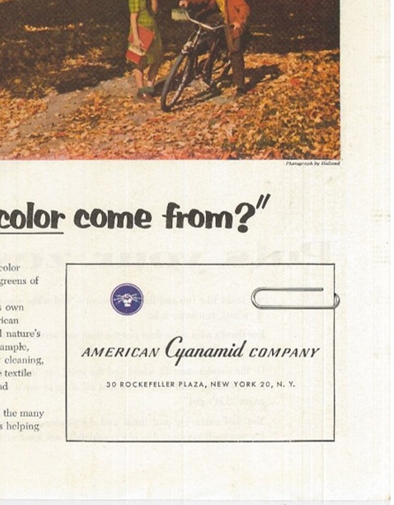 COLORFUL FALL FOLIAGE Scene The Saturday Evening Post 1955 Advertising American Cyanamid Company Old Ad Free Shipping Included image 5