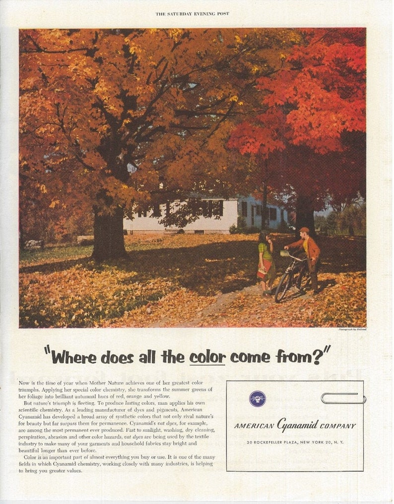 COLORFUL FALL FOLIAGE Scene The Saturday Evening Post 1955 Advertising American Cyanamid Company Old Ad Free Shipping Included image 1