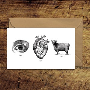 Occhio cuore Ewe - illustrata cartolina d'auguri con busta