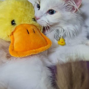 Cat dog pet bell for collars cute little duck clasp and ring attached for fitting to collar