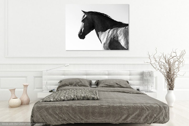BLACK AND WHITE Horse Print Large Horse Prints - Etsy