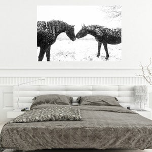 Horse print,Snow Horses, New Forest Ponies, Animal Prints, Dorset Prints, Equine Photography, Black Horses image 2