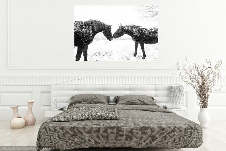 Horse print,Snow Horses, New Forest Ponies, Animal Prints, Dorset Prints, Equine Photography, Black Horses image 2